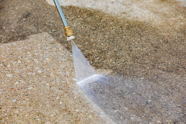 Boat and Dock Cleaning in Roosevelt Gardens, FL