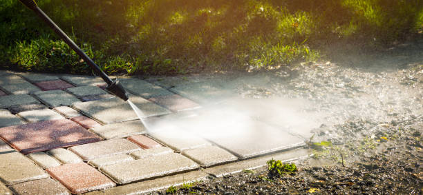Professional Pressure Washing Services in Roosevelt Gardens, FL